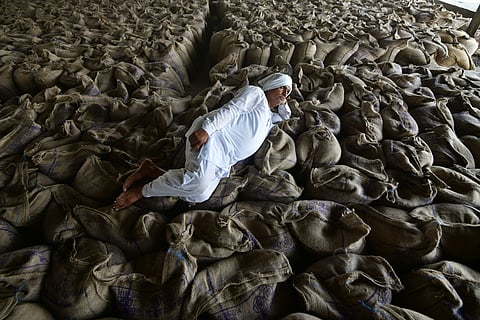 A farmer resting at Hisar grain mandi